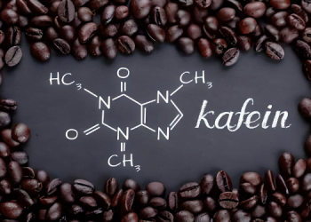 Kahve Bağımlılığının Sağlığımıza Etkileri: Bilmeniz Gerekenler 9 Kahve Bağımlılığının Sağlığımıza Etkileri: Bilmeniz Gerekenler