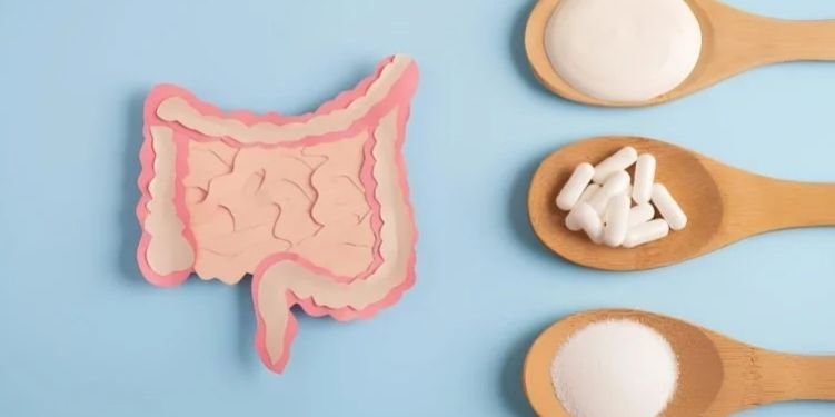 Probiyotikler ve Bağırsak Sağlığı Üzerindeki Etkileri 1 Probiyotikler ve Bağırsak Sağlığı Üzerindeki Etkileri