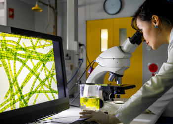 Bitki Fizyolojisi ve Fotosentez 7 Bitki Fizyolojisi ve Fotosentez