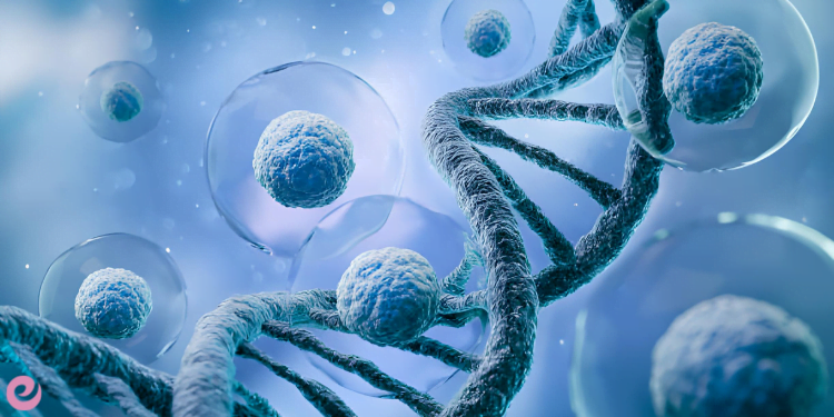 DNA'nın Keşfi ve Genetik Bilimi 4 DNAnin Sirlari 1