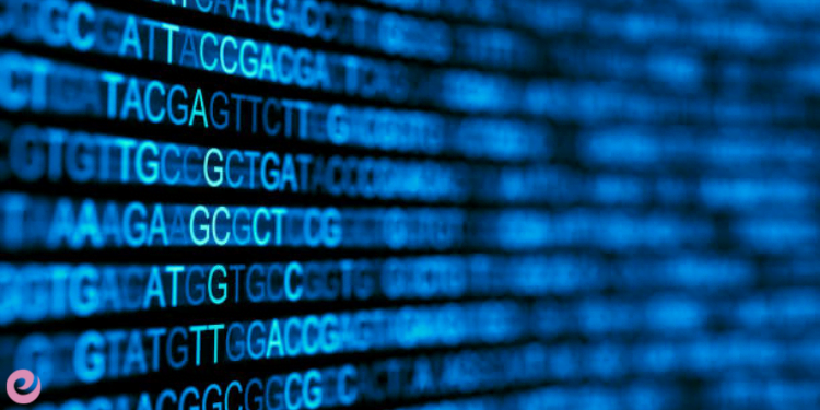 DNA'nın Keşfi ve Genetik Bilimi 2 Genetik Bilim