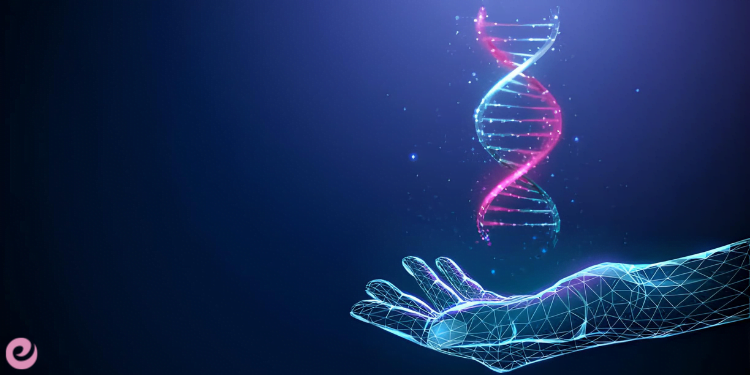 DNA'nın Keşfi ve Genetik Bilimi 3 Genetik Bilimin Temelleri