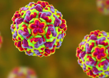 Gergedan Virüsü (Rhinovirüs) 12 Gergedan Virüsü (Rhinovirüs)