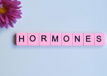 Hormonlar ve Vücut İşleyişi 12 Hormonlar ve Vücut İşleyişi